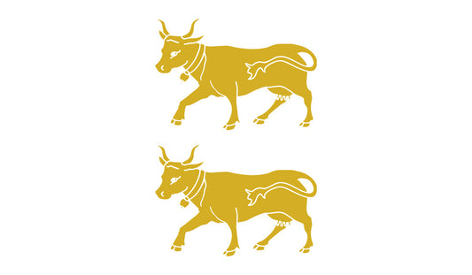 blason-bearn
