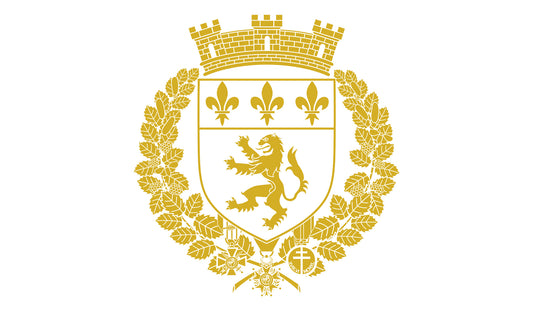 blason-ville-lyon