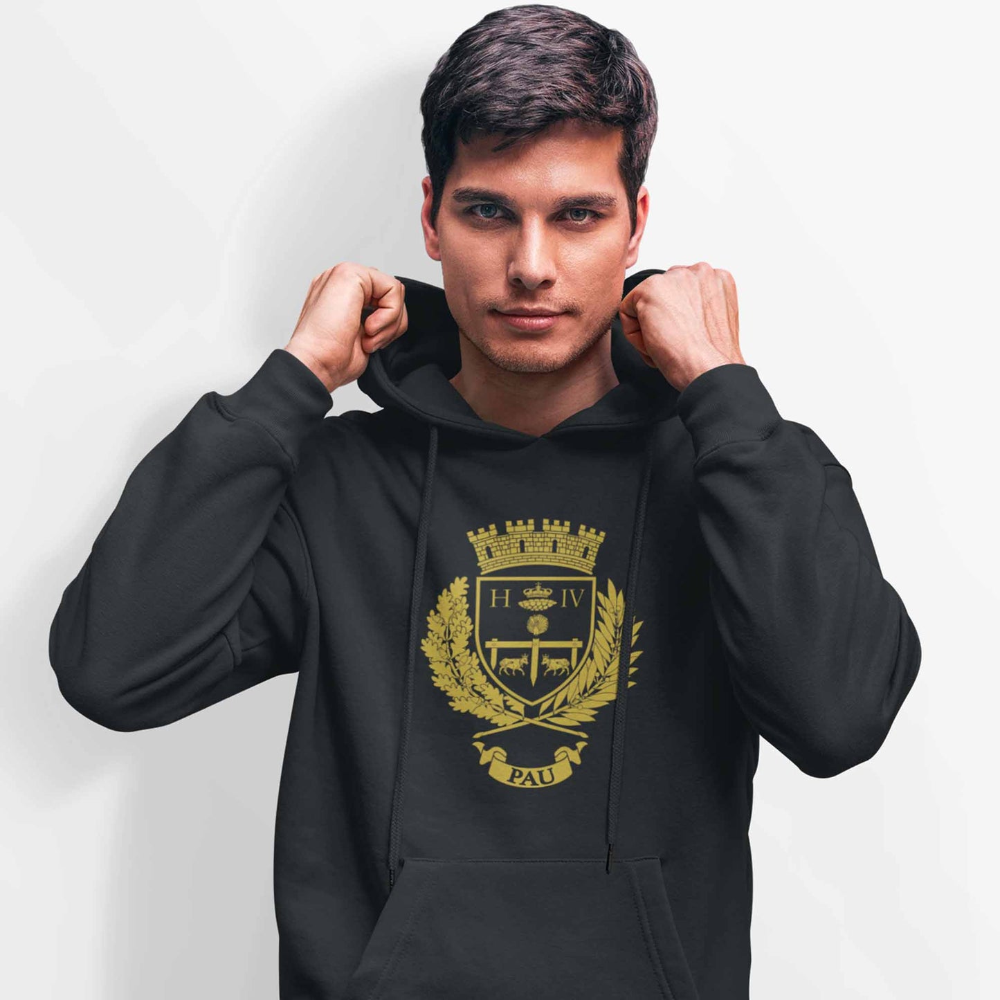Sweat - Armoiries de Pau