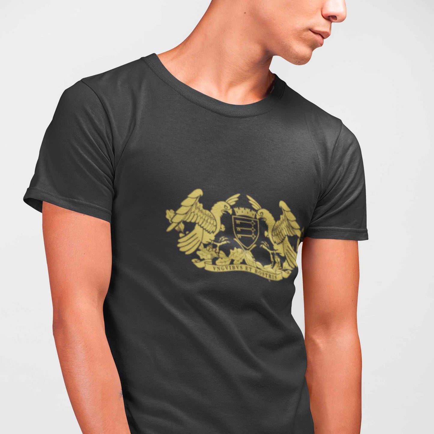 T-shirt - Armoiries de Avignon