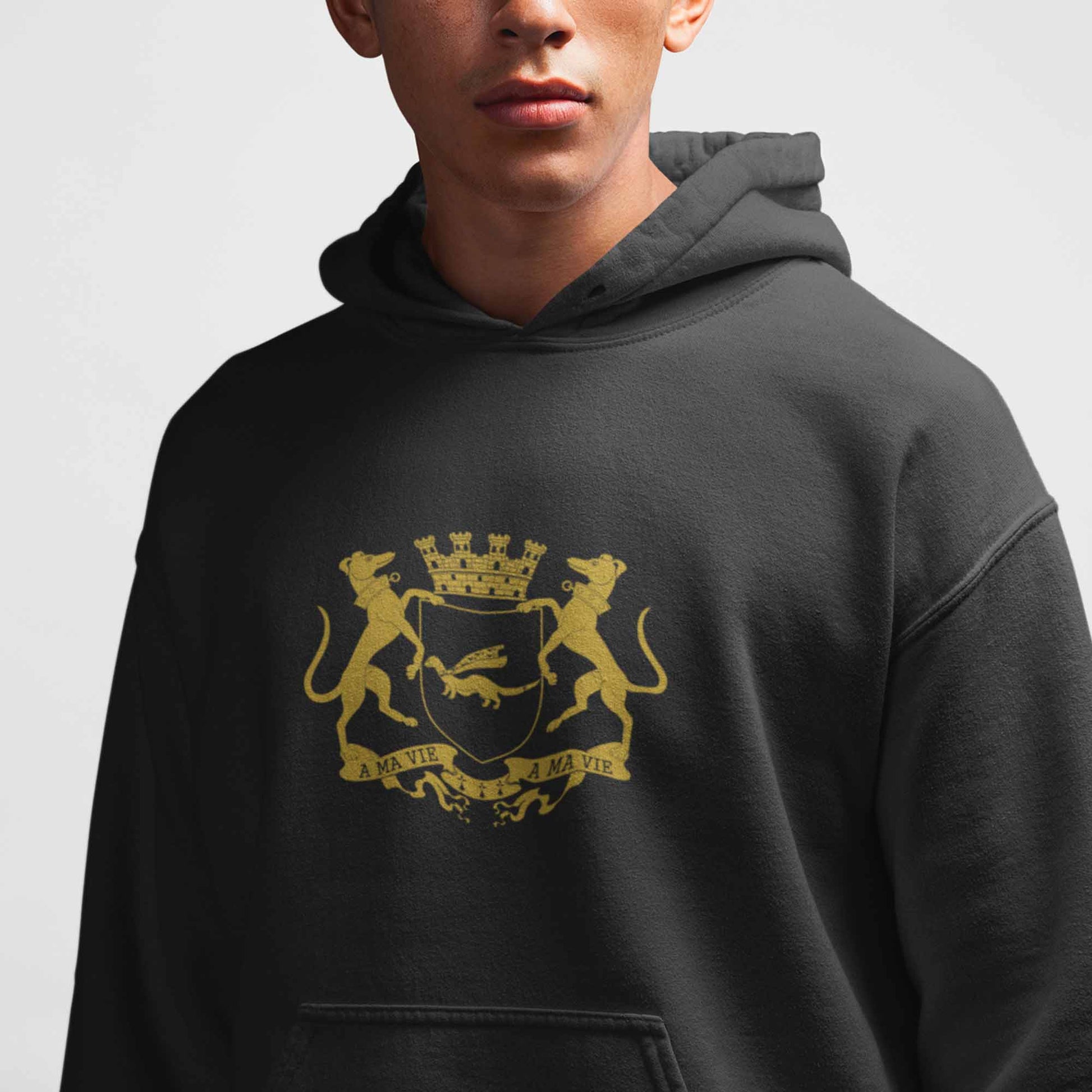 Sweat - Armoiries de Vannes